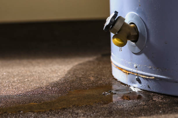 Best Water damage restoration near me  in Walkerton, IN