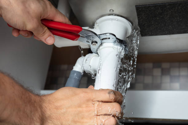 Best Professional water damage repair  in Walkerton, IN