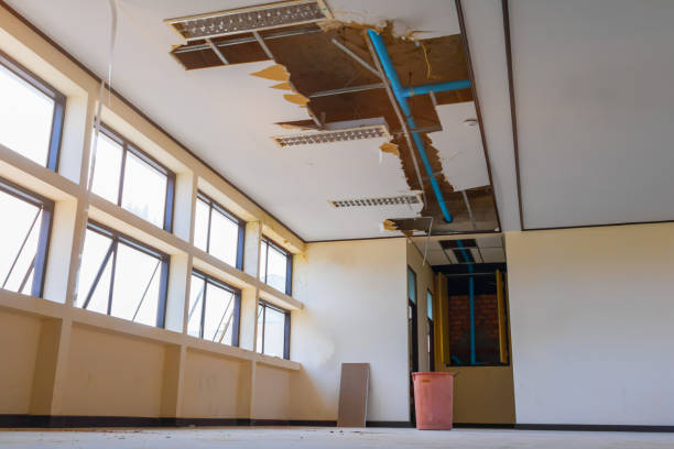 Best 24-hour water damage restoration  in Walkerton, IN
