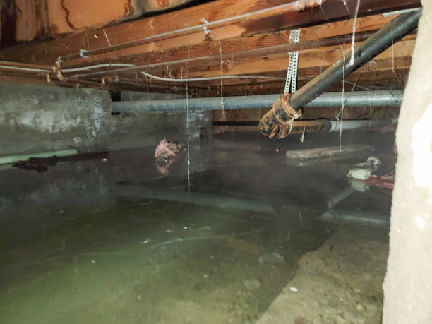 Walkerton, IN Water damage restoration Company