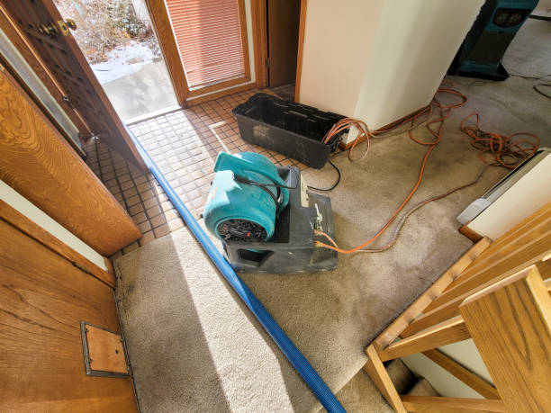 Best Fire Damage Restoration  in Walkerton, IN