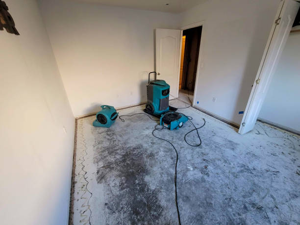 Best Ceiling water damage repair  in Walkerton, IN