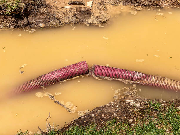 Best Basement water damage restoration  in Walkerton, IN