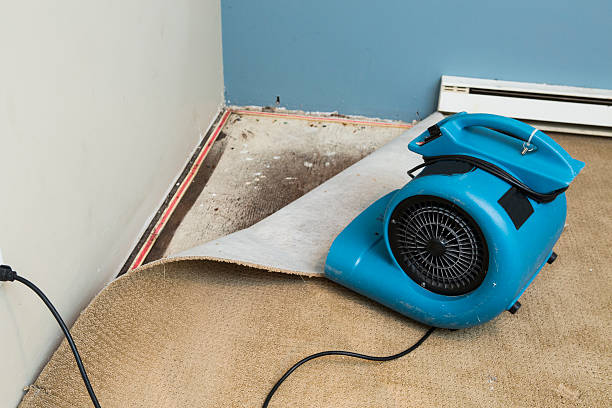  Walkerton, IN Water damage restoration Pros